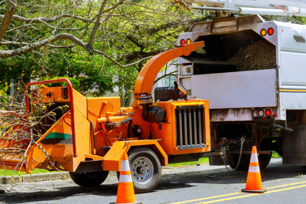 Best Commercial Tree Services  in Magnolia Springs, AL